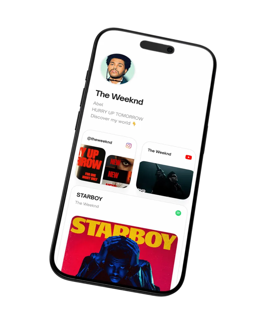 The perfect Link in Bio